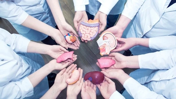 Анонимді донор ағзаларын беріп жеті адамның өмірін құтқарып қалды