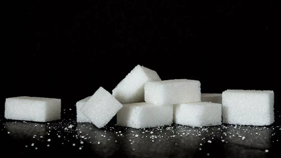 "Qazaq Arab Sugar" Қазақстанда қант зауытын салады