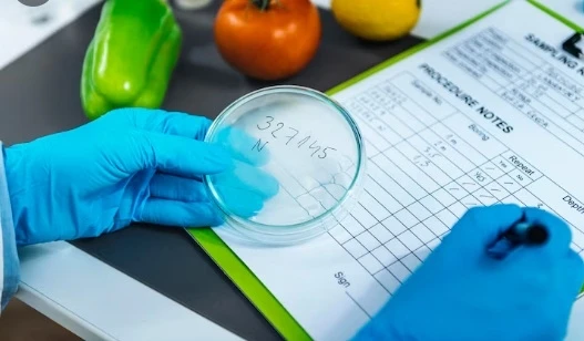 Требования к безопасности пищевой продукции  в соответствии с ТР ТС 021/2011