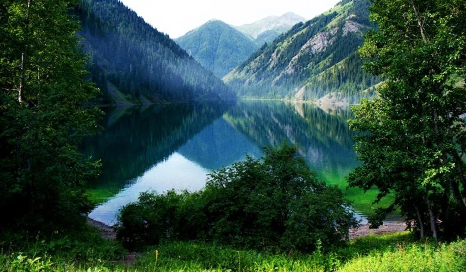 Kazakh Tourism Қатонқарағайға келетін туристер санын шектеуді ұсынды