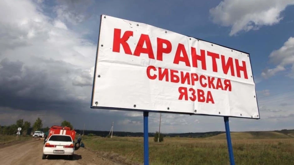 В чем опасность сибирской язвы?
