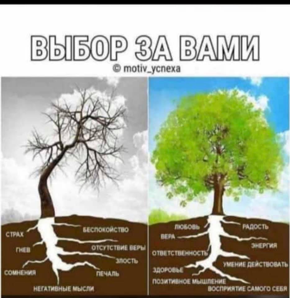   Мотив успеха